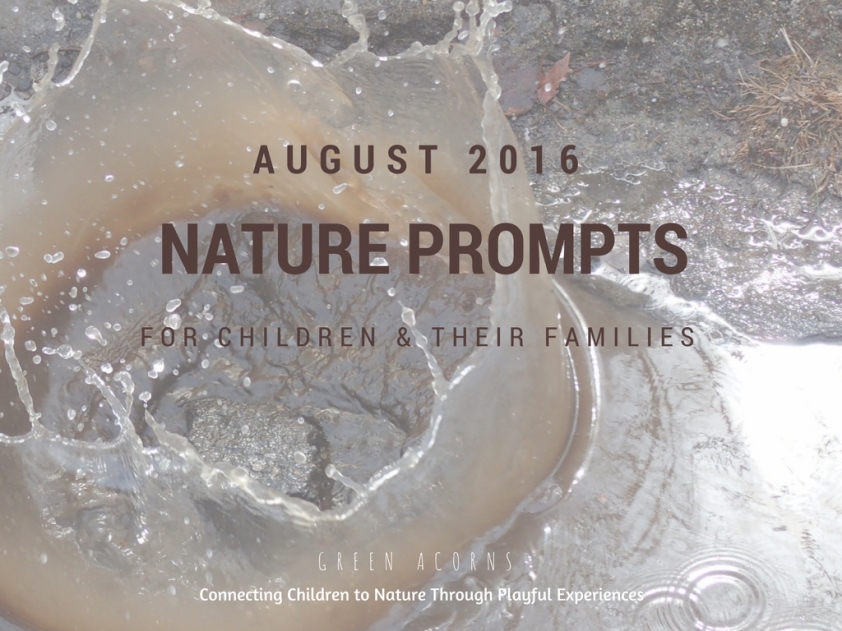 Noticing Nature - Monthly Nature Prompts for Children and Their Families: August 2016
