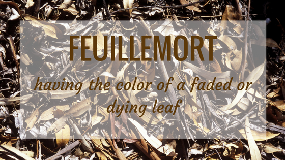 Nature Word of the Month: FEUILLEMORT